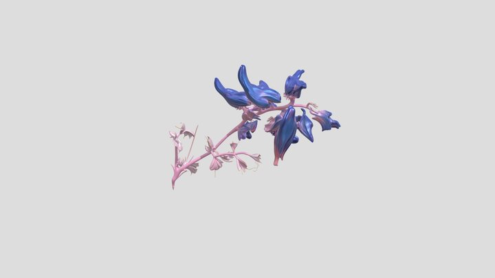 Fairyfloss 3D Model