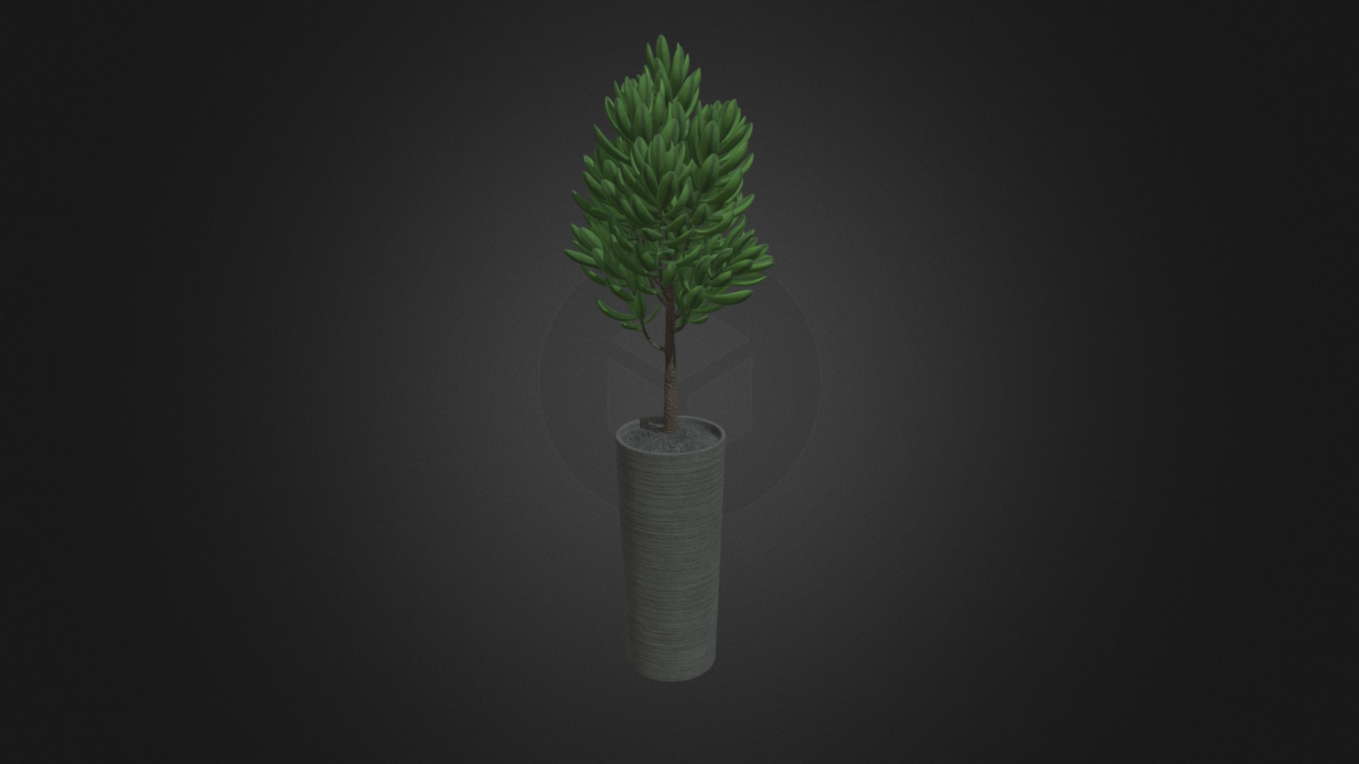 3D model Plant in Dark Ceramic Pot - This is a 3D model of the Plant in Dark Ceramic Pot. The 3D model is about a plant in a vase.