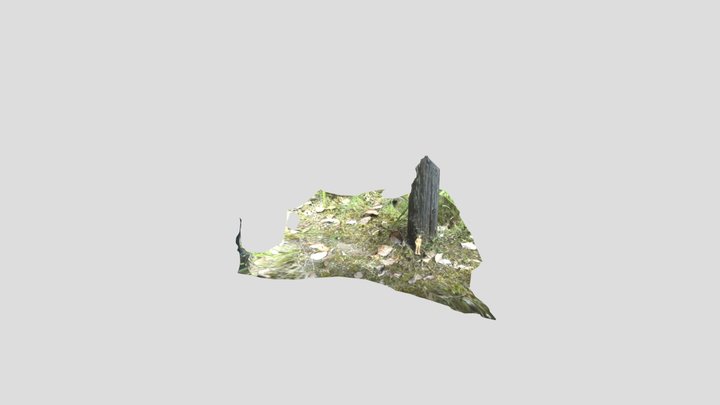 Scaniverse 2025-07-01 122520 3D Model