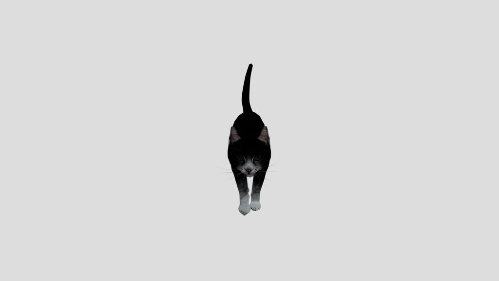Cat Walk