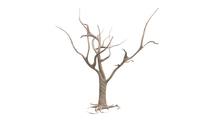 Dry Tree