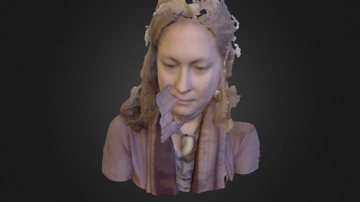 Sense1 3D Model