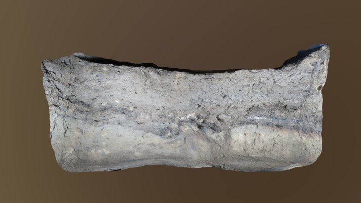 Gruta do Presépio - N10L50 Perfil Sul 3D Model