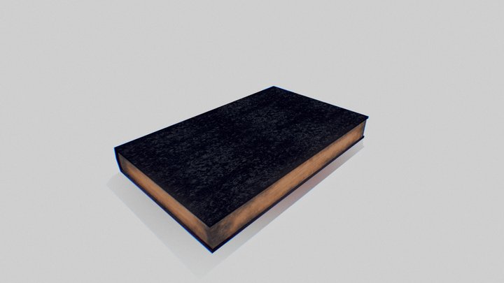 Abandoned Book 3D Model