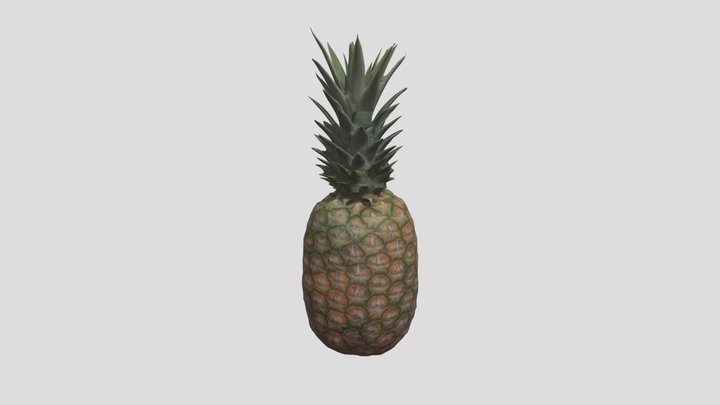 Pineapple Low Poly 3D Model