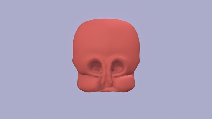Facial Development 3D Model