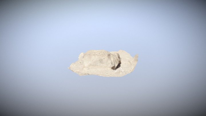 Petroglifo Millune 3D Model