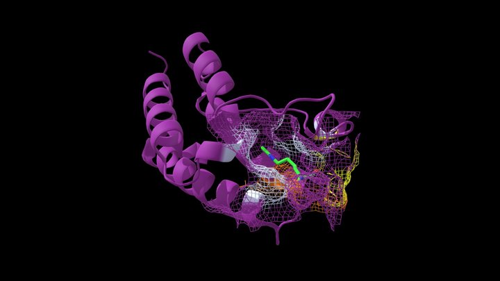 Gcn5p bromodomain interaction with H4K16ac 3D Model