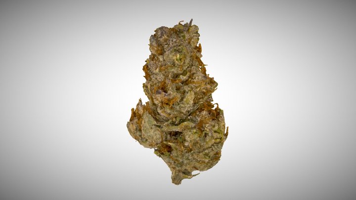 Marijuana Flower 3D Model