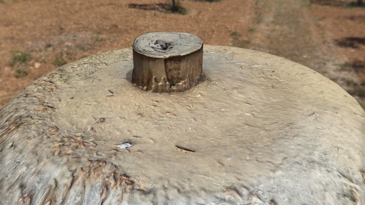 Stump_Retopo 3D Model