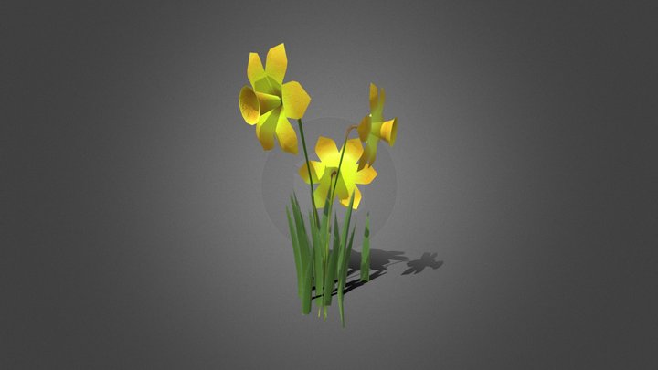 Daffodils – Modello 3D gratuito STL