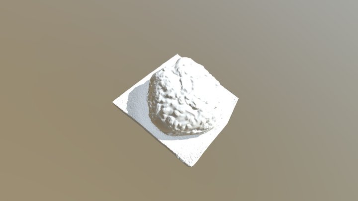 A Cheesy Roll 3D Model