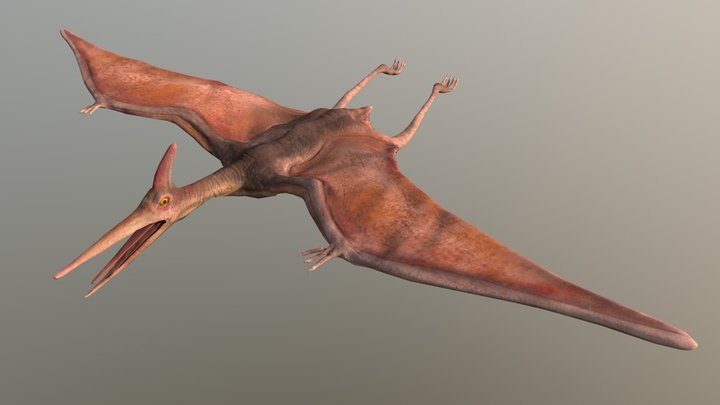 Pterodactyl 3D Model
