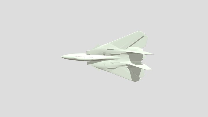 F-14 Tomcat 3D Model