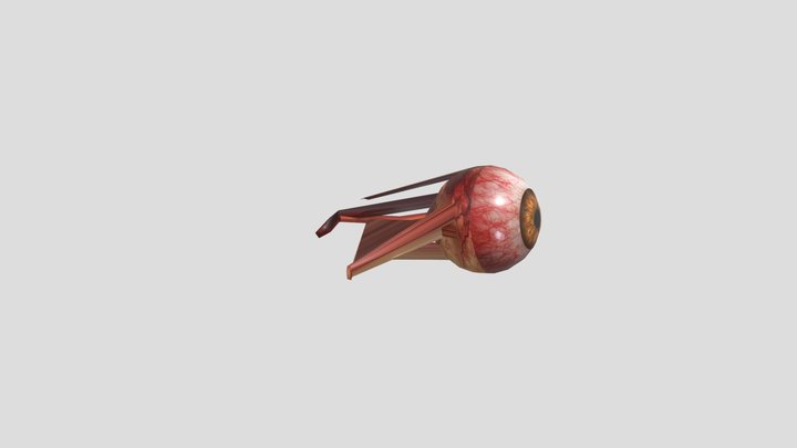 Realistic Horror Human Eye – Eyes Don’t Lie
