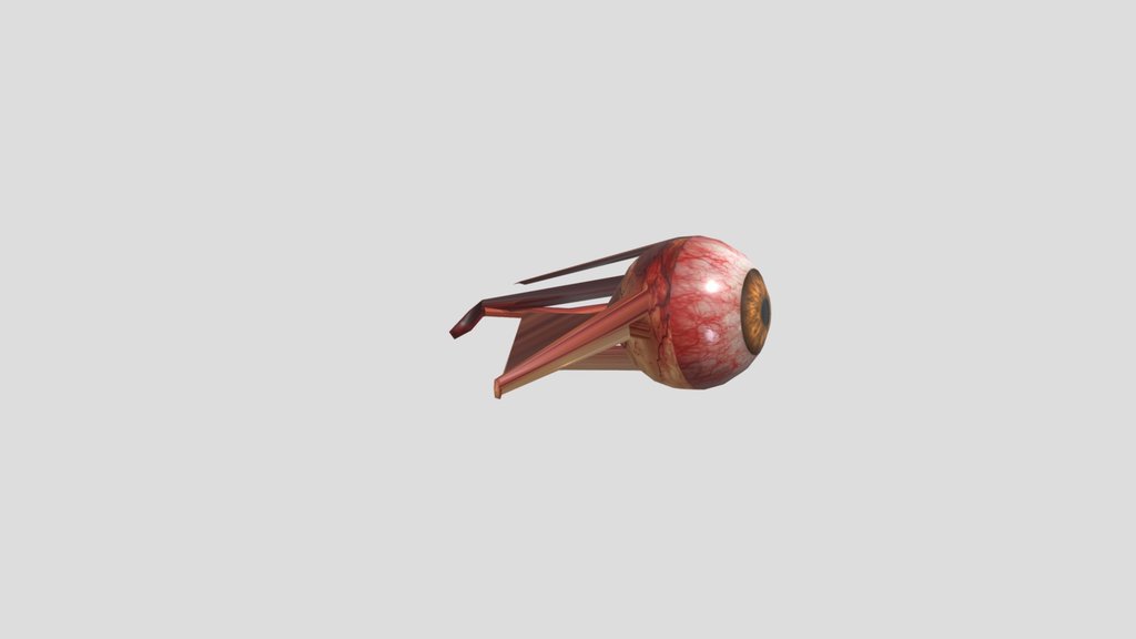Realistic Horror Human Eye – Eyes Don’t Lie
