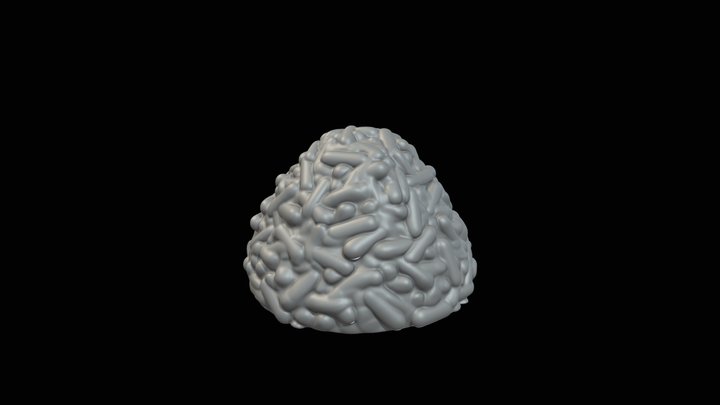 chak_chak 3D Model