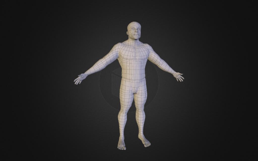 Character retop progress 4 without normal - 3D model by Harj ...