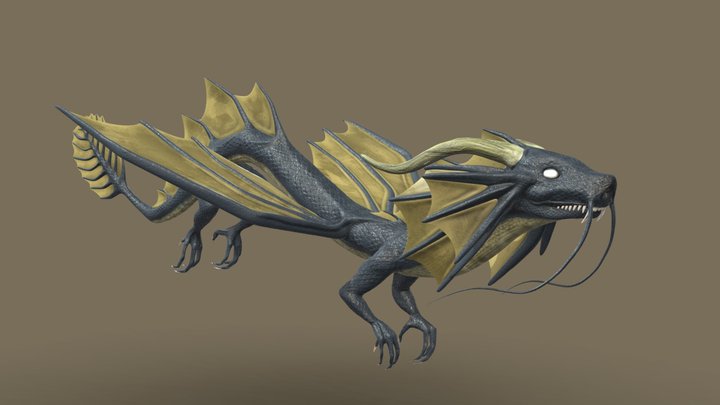 Dragon acuatico 3D Model