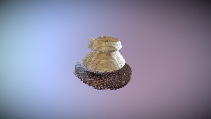 MicMac Test#1 3D Model