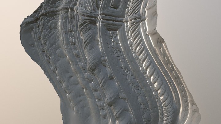 ೧ 3D Model