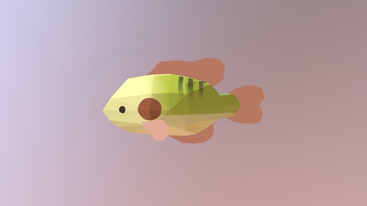 Sunny Fish 3D Model