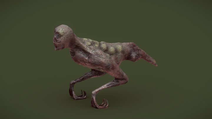 Tom 3D Model
