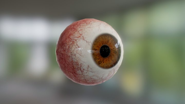 Brown Eyeball (Free) 3D Model
