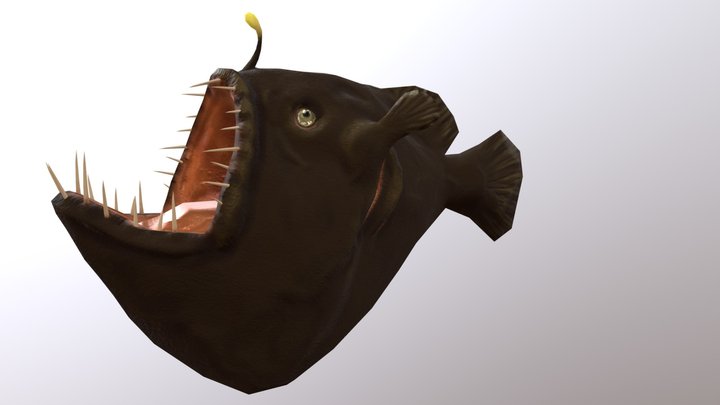 Anglerfish 3D Model