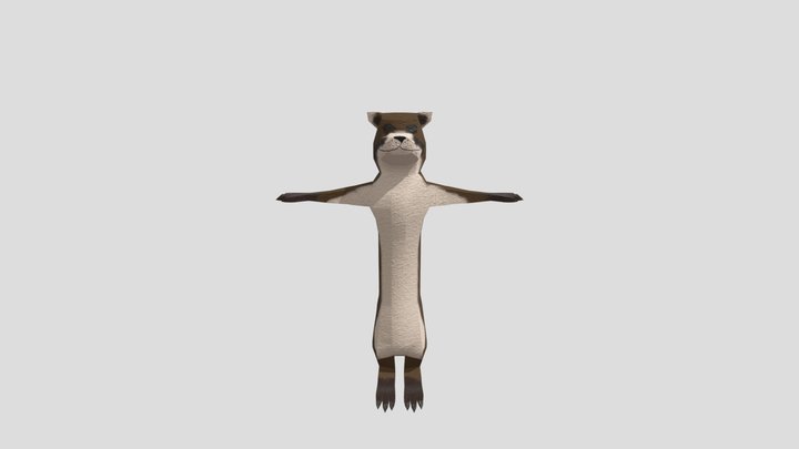 Otter with textures 3D Model