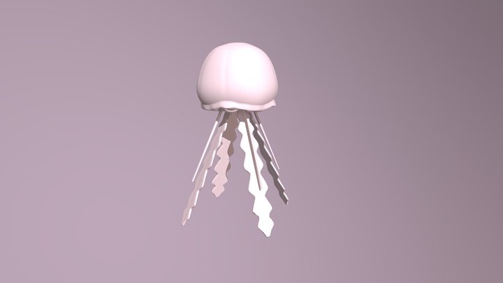 jellyfish 3D Model