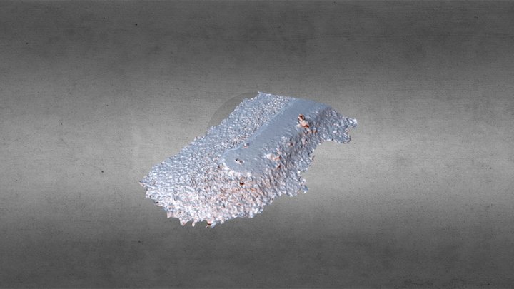 Harbor Jetty Site Survey 3D Model