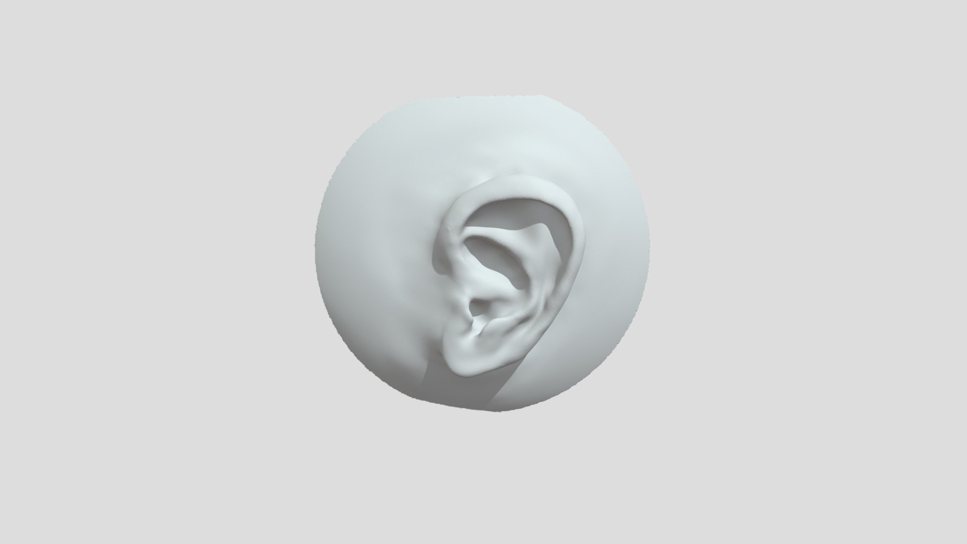 Ear