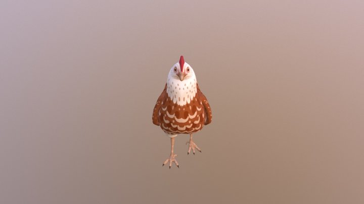 Simple Chicken 3D Model