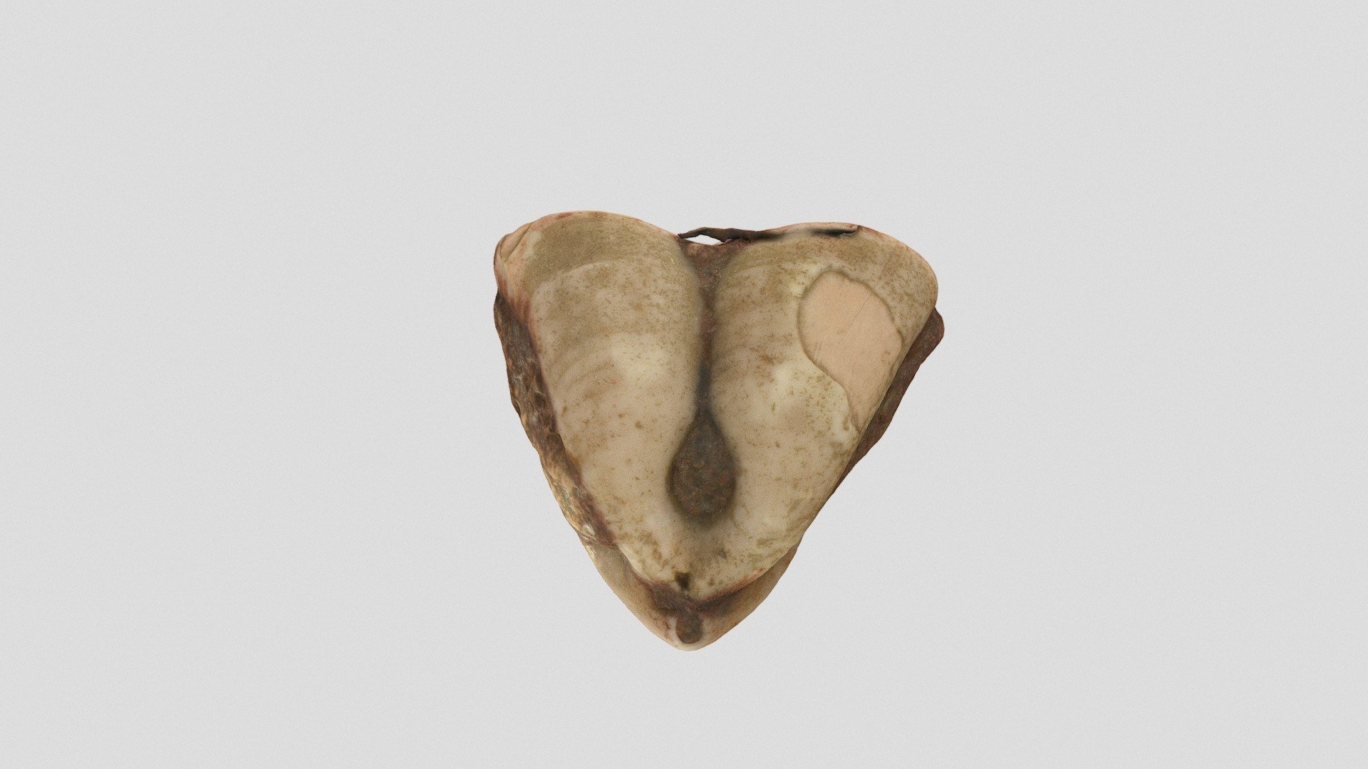 Pygope