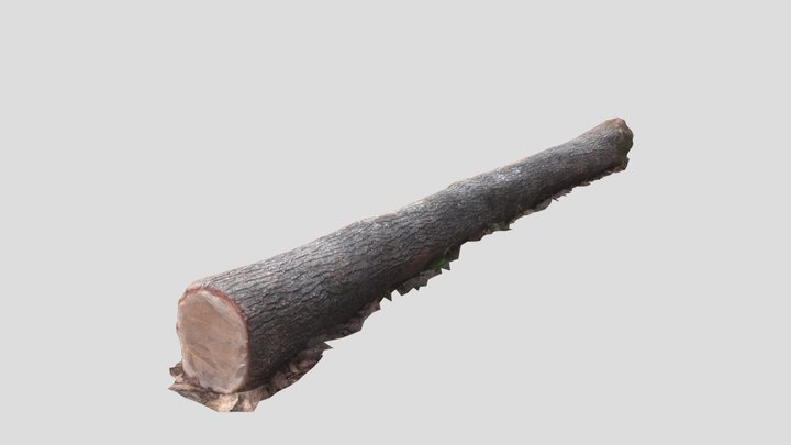 Sortiment hrasta 3D Model