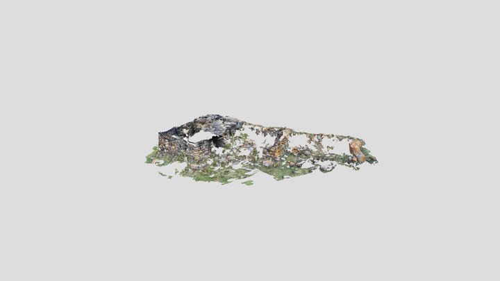 Untitled Scan 3D Model