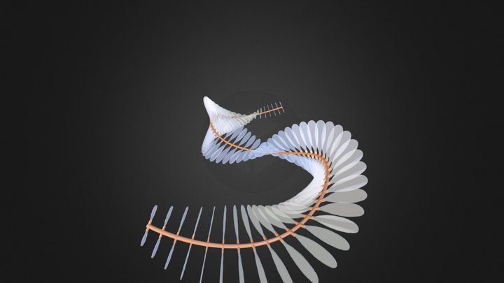 FeatherDancer 3D Model