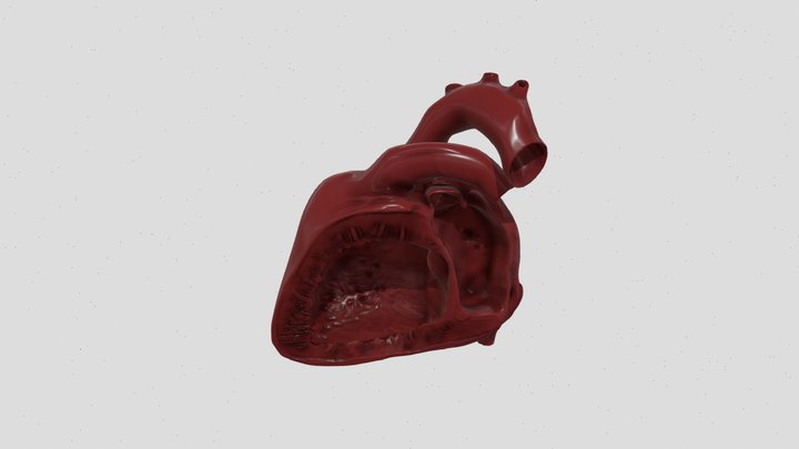 Heart High 3D Model