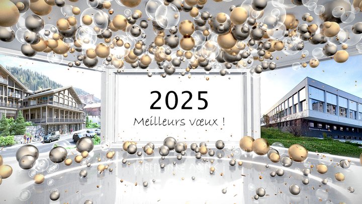 Voeux 2025 3D Model