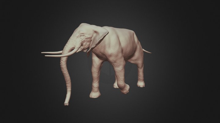 Elephant Sculpt 3D Model