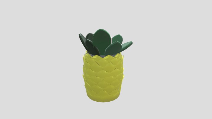 Pineapple Box 3D Model