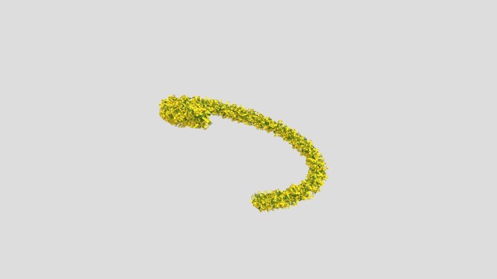 Flower 3D Model