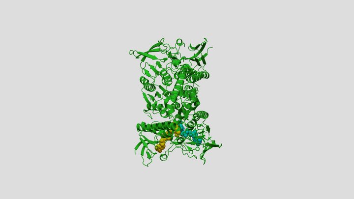 Dihydrolipoamide Dehydrogenase+NAD+FAD 3D Model