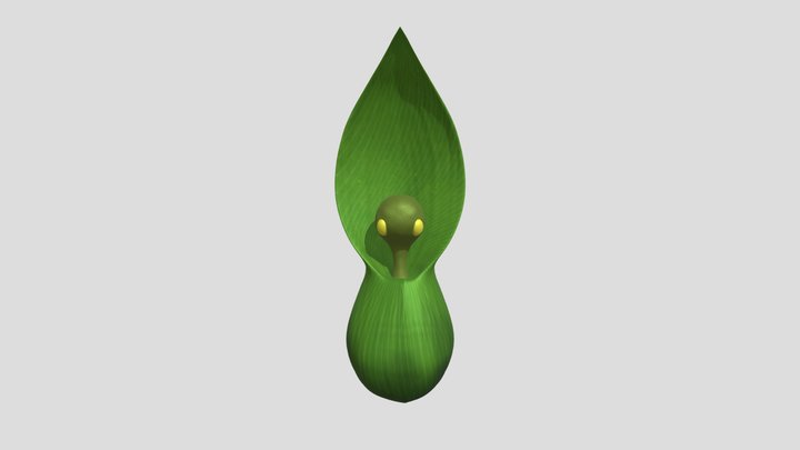 laff 3D Model