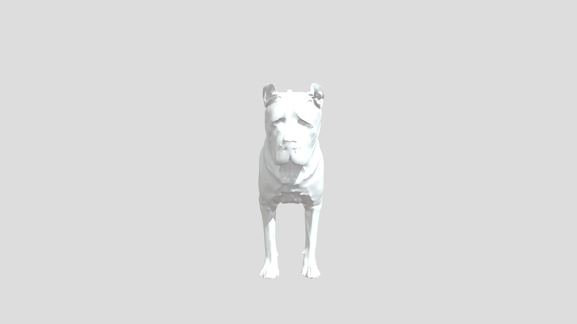 Cane corso - 3D model by Spinowalls3D (@Spinowalls3DDogkennals ...