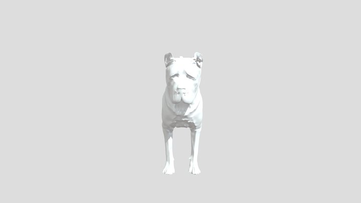 Cane corso 3D Model