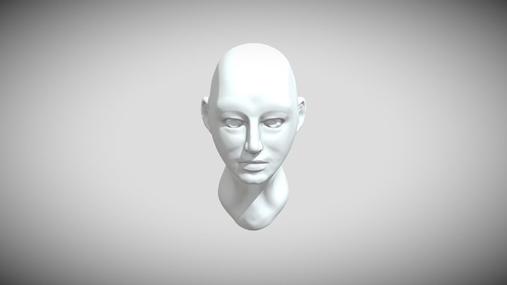 W.I.P Face will update 3D Model