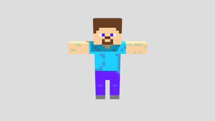 Steve 3D Model