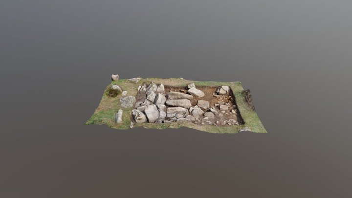 Llys Dorfil Trench 1 3D Model